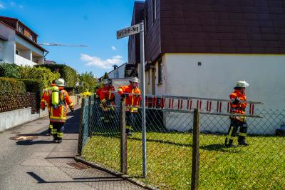 Steinheim a.d.M.: Feuerwehreinsatz am Vatertag - Holzwand geht beim Grillen in Flammen auf